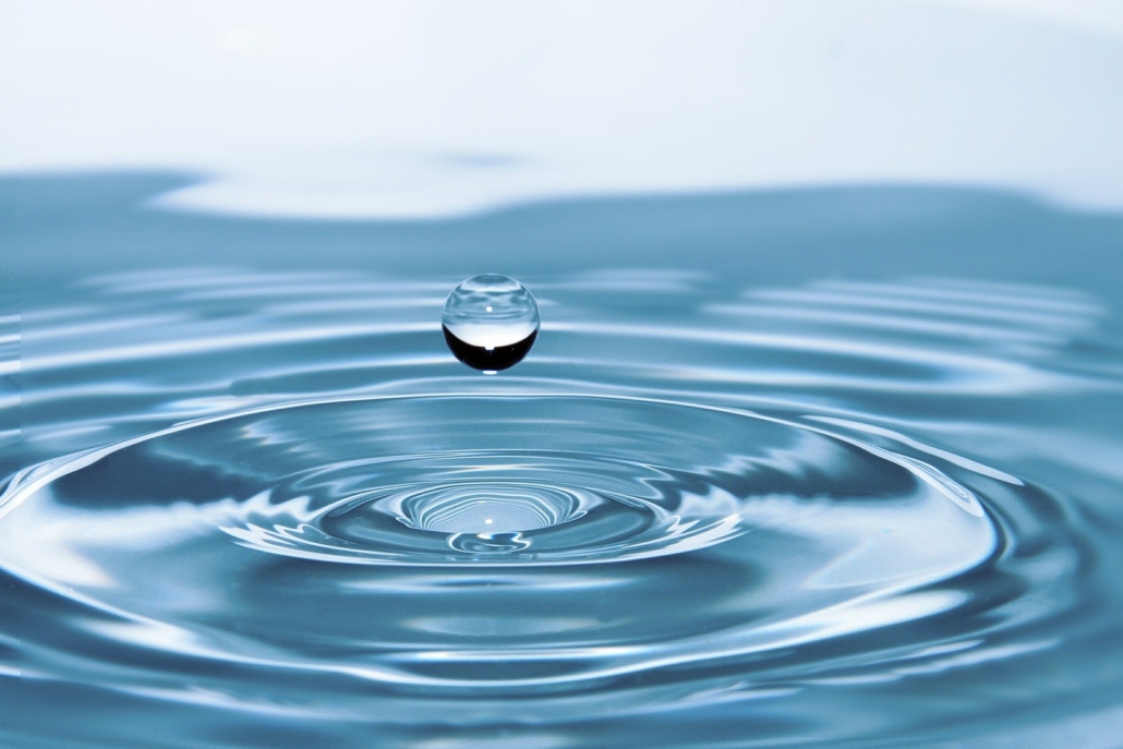 Wasser – die Grundlage für das Überleben aller Lebewesen