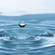 Wasser – die Grundlage für das Überleben aller Lebewesen